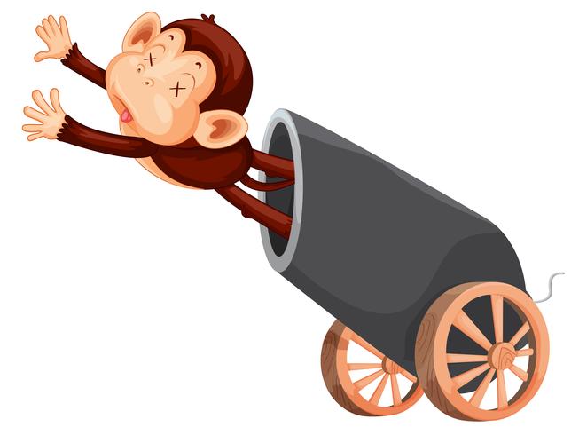 Dead monkey and cannon vector
