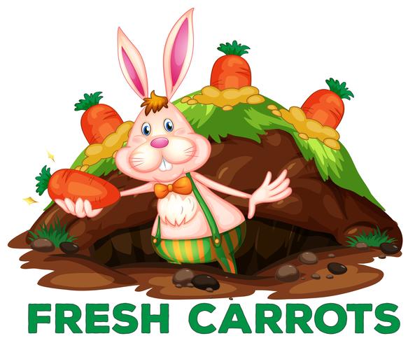 A Cute Rabbit and Carrots vector