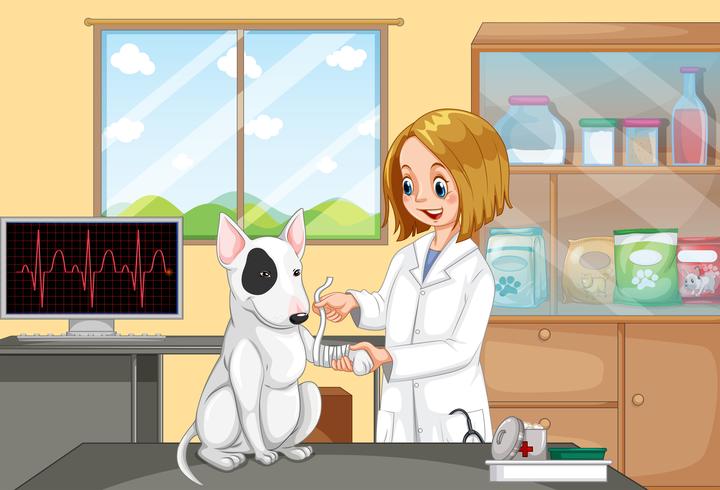 Veterinarian Doctor Helping a Dog vector