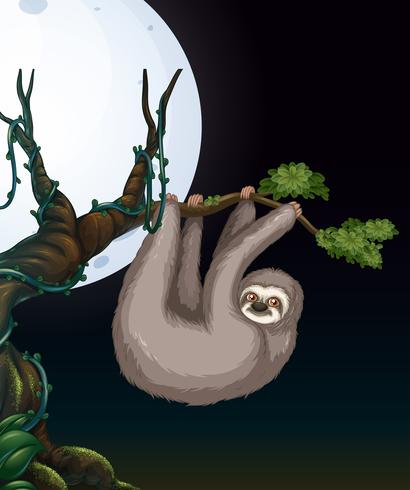 Sloth at Tree Branch at Night vector