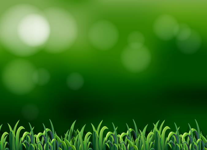 A grass on blur background vector