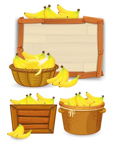 Conjunto de plantillas de plátano. vector