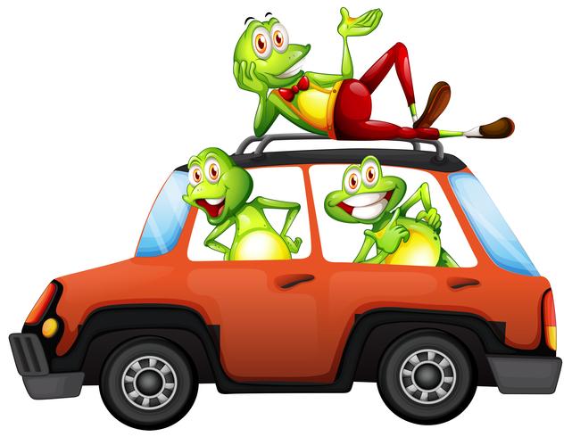 Frog on the car vector