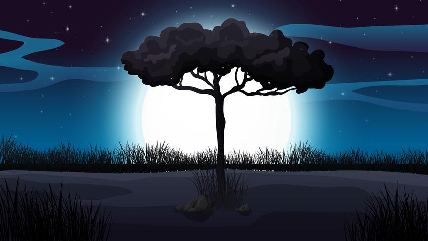 Forest and Moonlight Scene vector