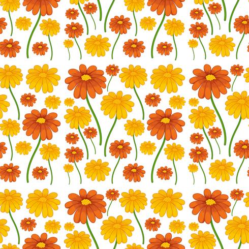 A daisy flower seamless pattern vector