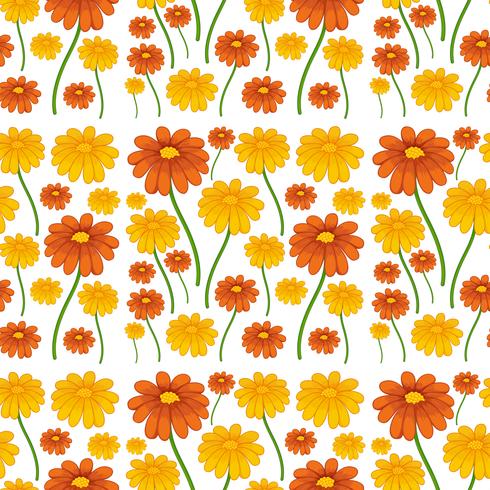 A daisy flower seamless pattern vector