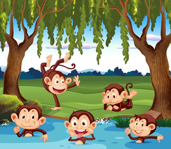 Monkey playing in nature vector