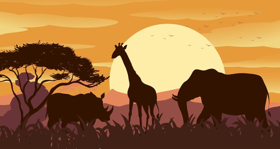 Escena de silueta con animales salvajes al atardecer vector