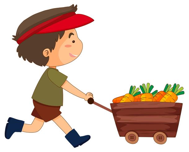 Boy pushing wagon full of carrots vector
