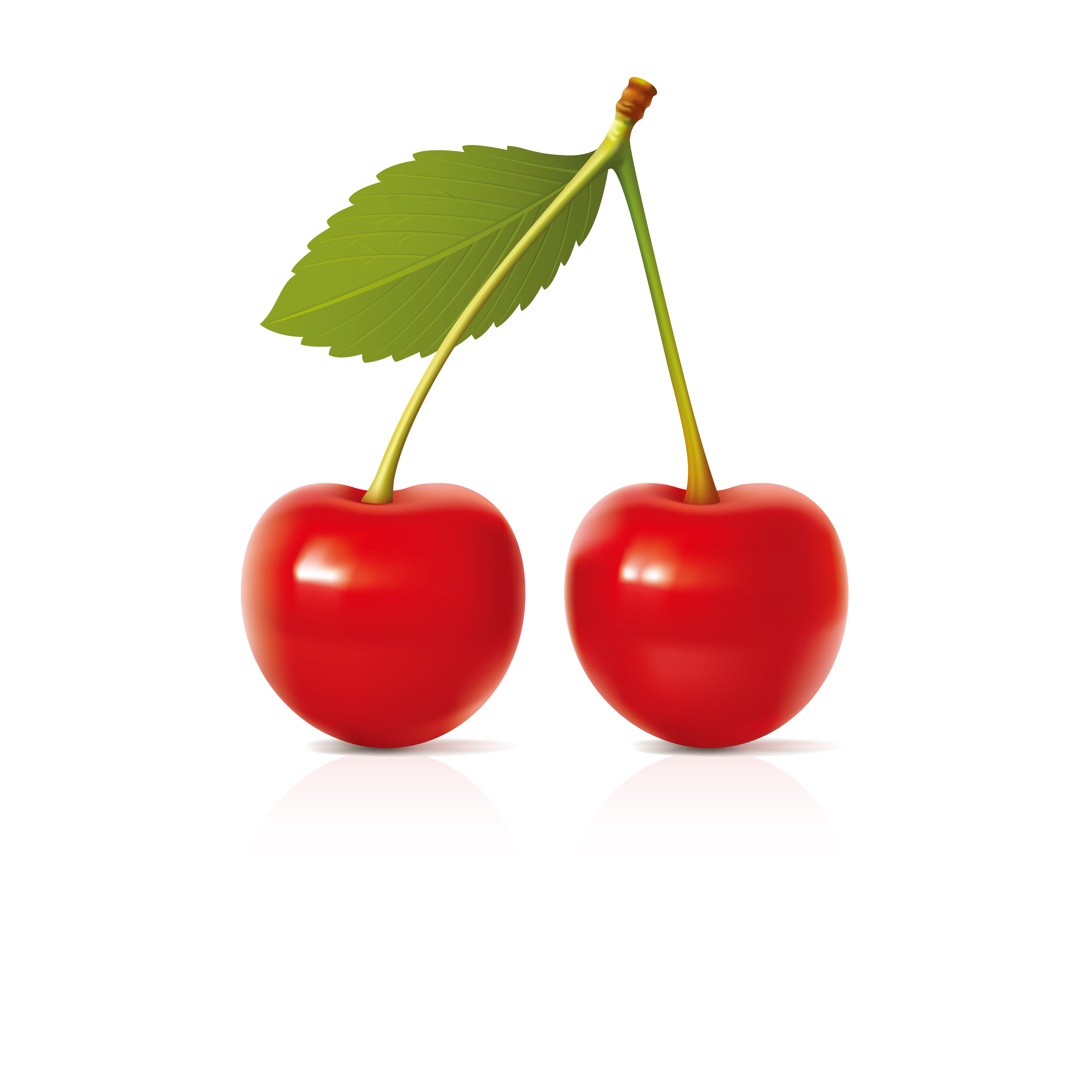 Download Cherry vector design illustration template - Download Free ...