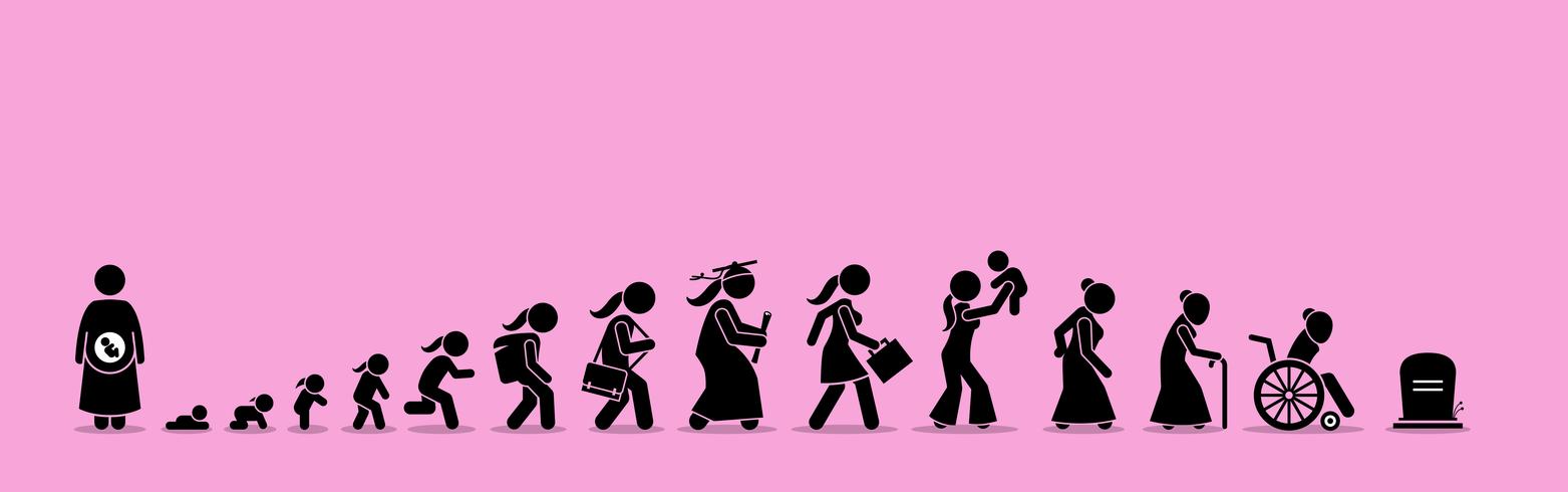 Female life cycle and aging process. 364252 Vector Art at Vecteezy