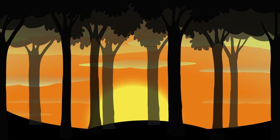 Escena de silueta de bosque al atardecer vector