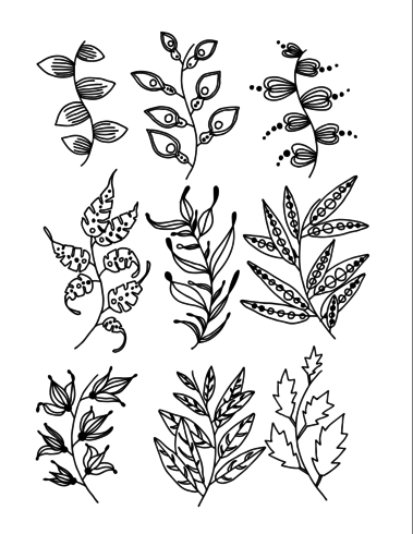 Set of Doodle Leaves hand draw vector