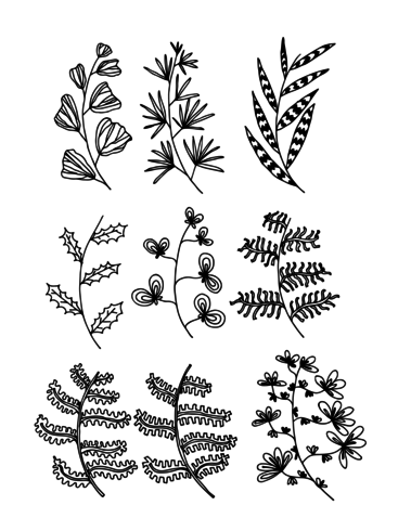 Set of Doodle Leaves hand draw vector