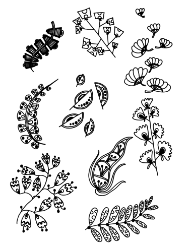 Set of Doodle Leaves hand draw vector