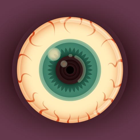 Ilustración globo ocular vector