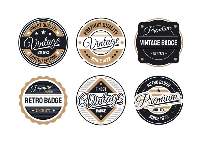 Colección de insignias retro vector