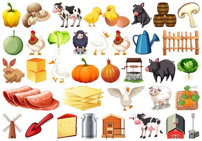 Set of farm objects vector