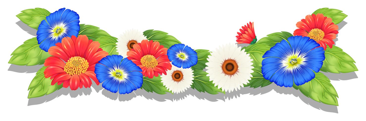 Coloridas flores frescas vector