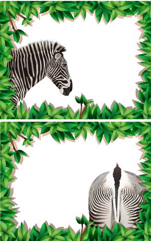 A set of zebra on nature frame vector