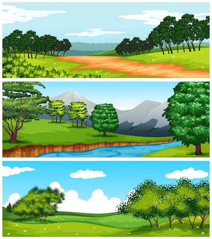 Tres escenas de la naturaleza con campos y árboles. vector