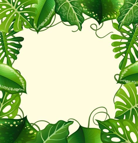 Frame design with green leaves vector