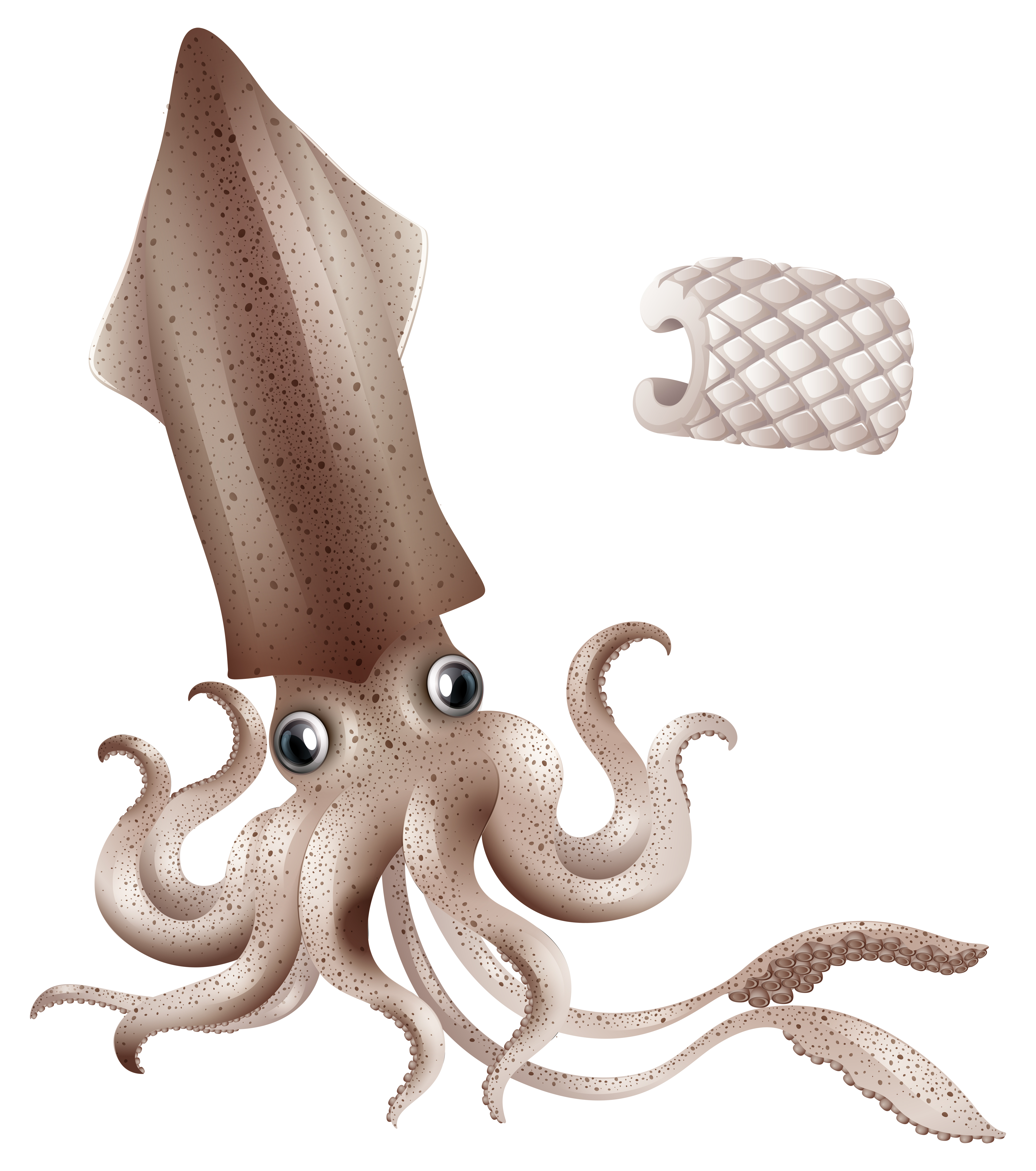 Free Free Squid Svg Free 244 SVG PNG EPS DXF File