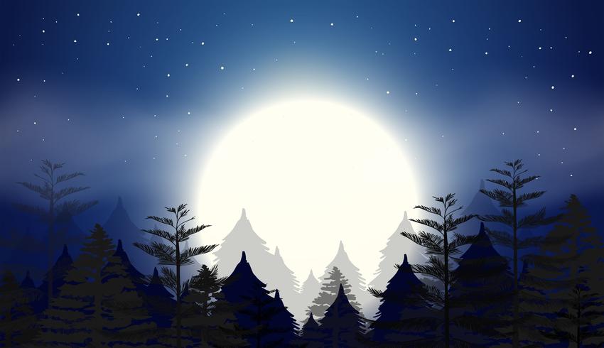 beautiful night sky scene vector