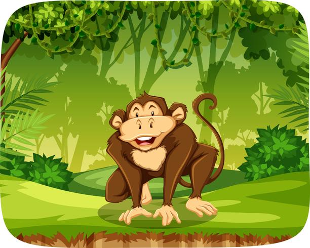 Un mono en la selva vector