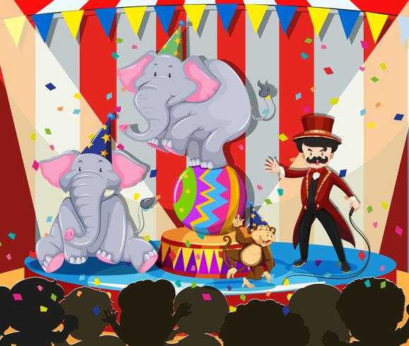 Animal show at the circus