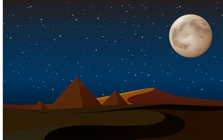 desert scene with pyramids at night vector