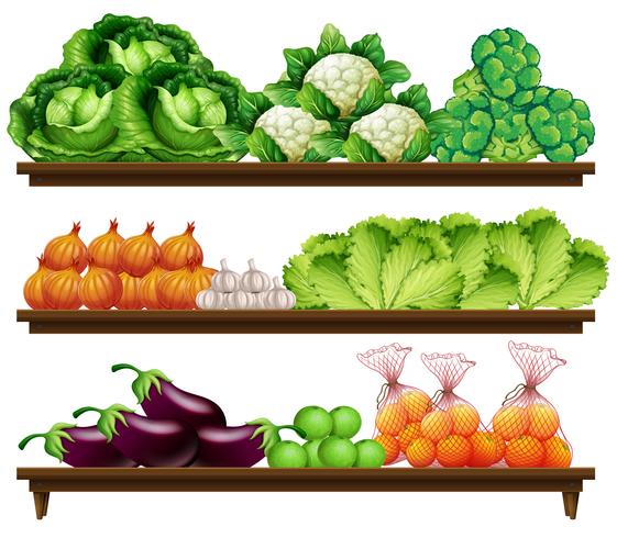 Grupo de verduras en estante vector