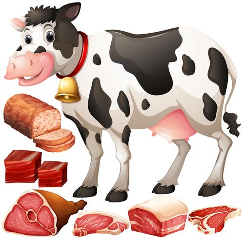 Vaca y productos cárnicos. vector