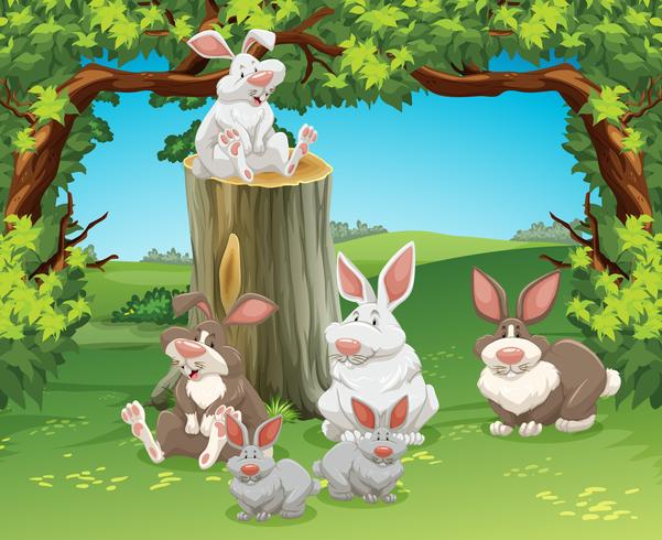 Six rabbits in the garden vector