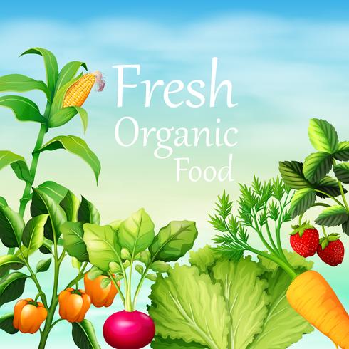 Poster design with many vegetables vector