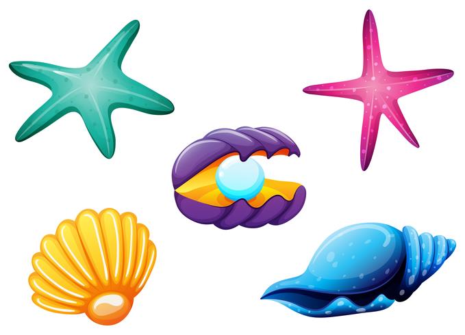 Sea creatures vector
