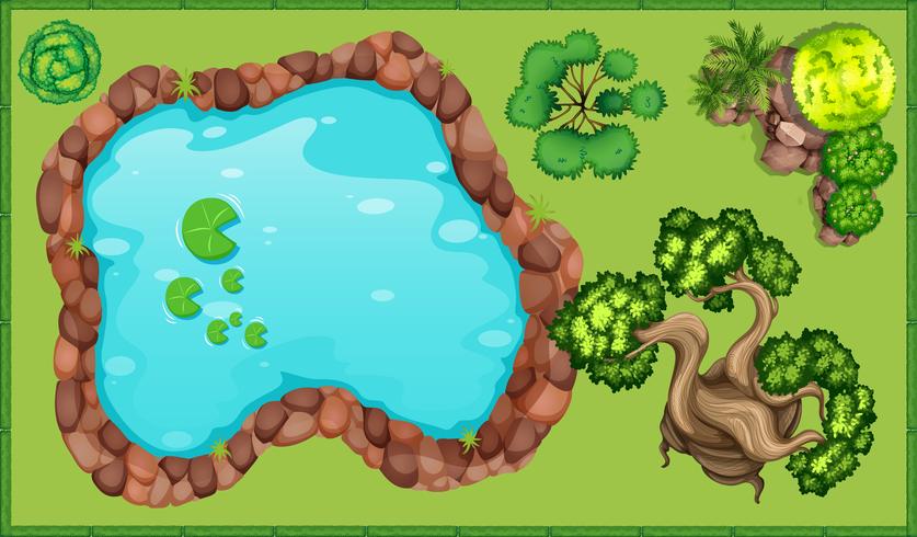 Small pond in the park vector
