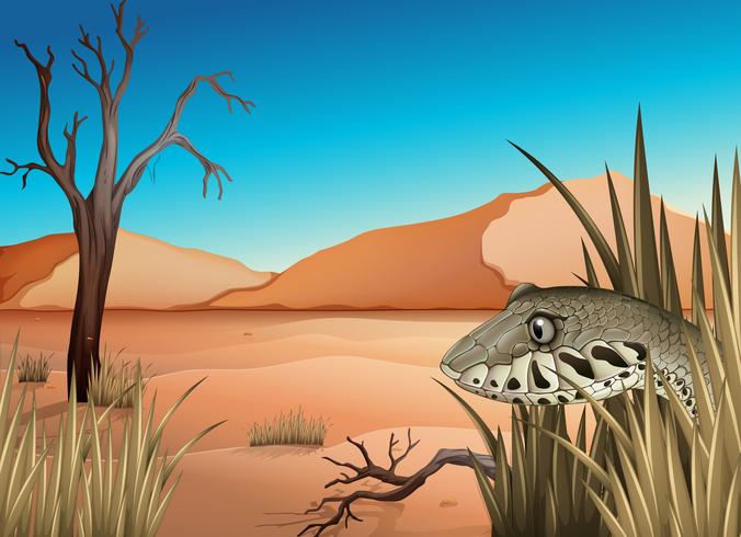 A reptile in the dessert vector