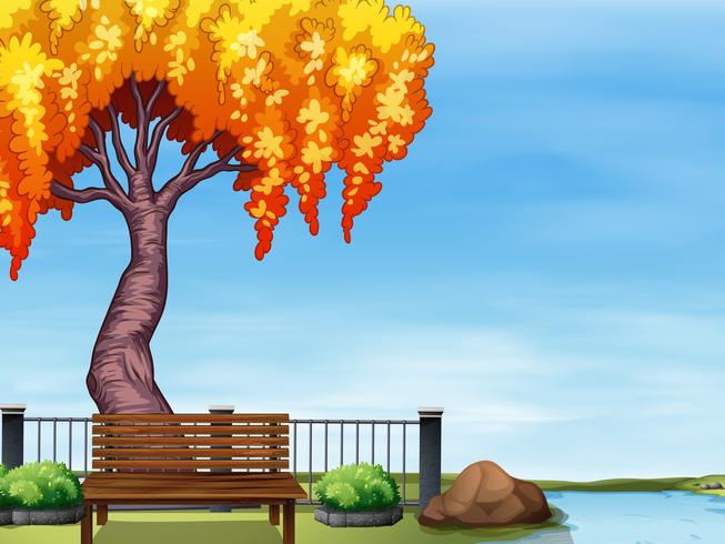 Willow tree by the river vector