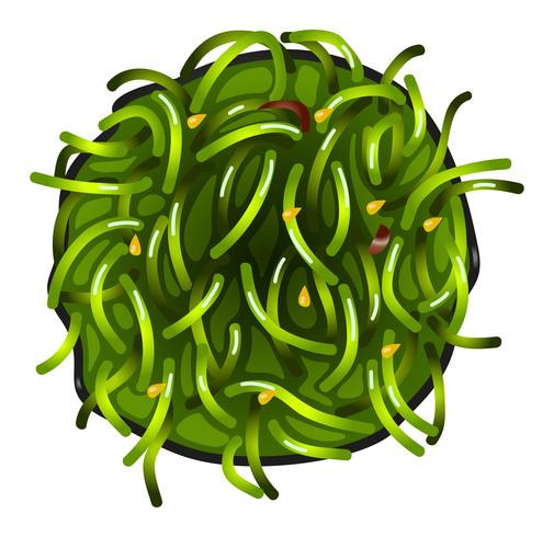 A topview of a vegetable sushi vector