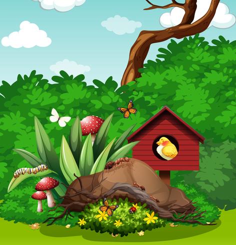 Bird and bugs in the garden vector