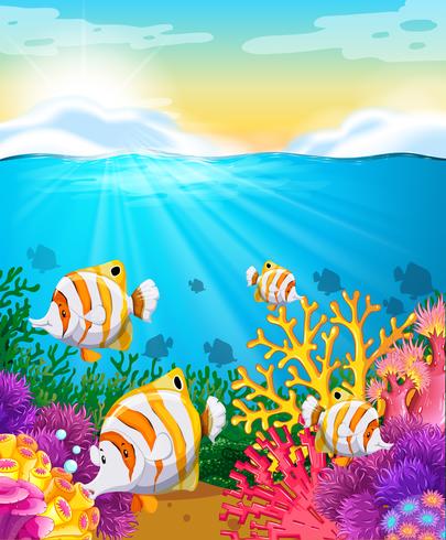 Scene with fish under the ocean vector