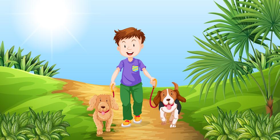 Boy taking dogs for walk in the park vector