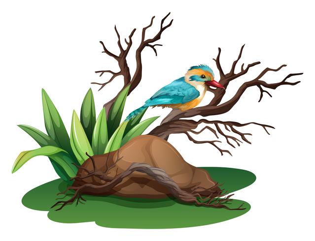 Un pájaro en la rama de un árbol. vector