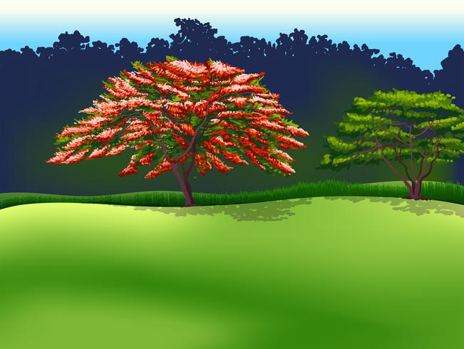 Trees vector