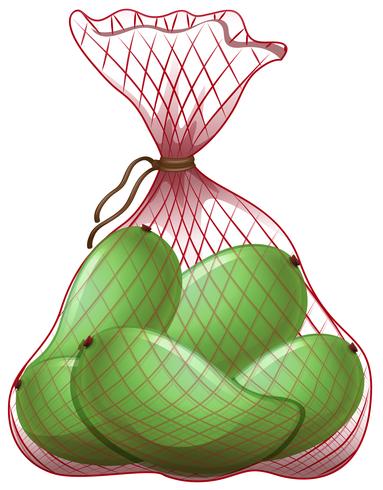 Green mangoes in net bag vector