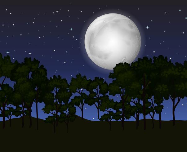 Scene with fullmoon at night vector