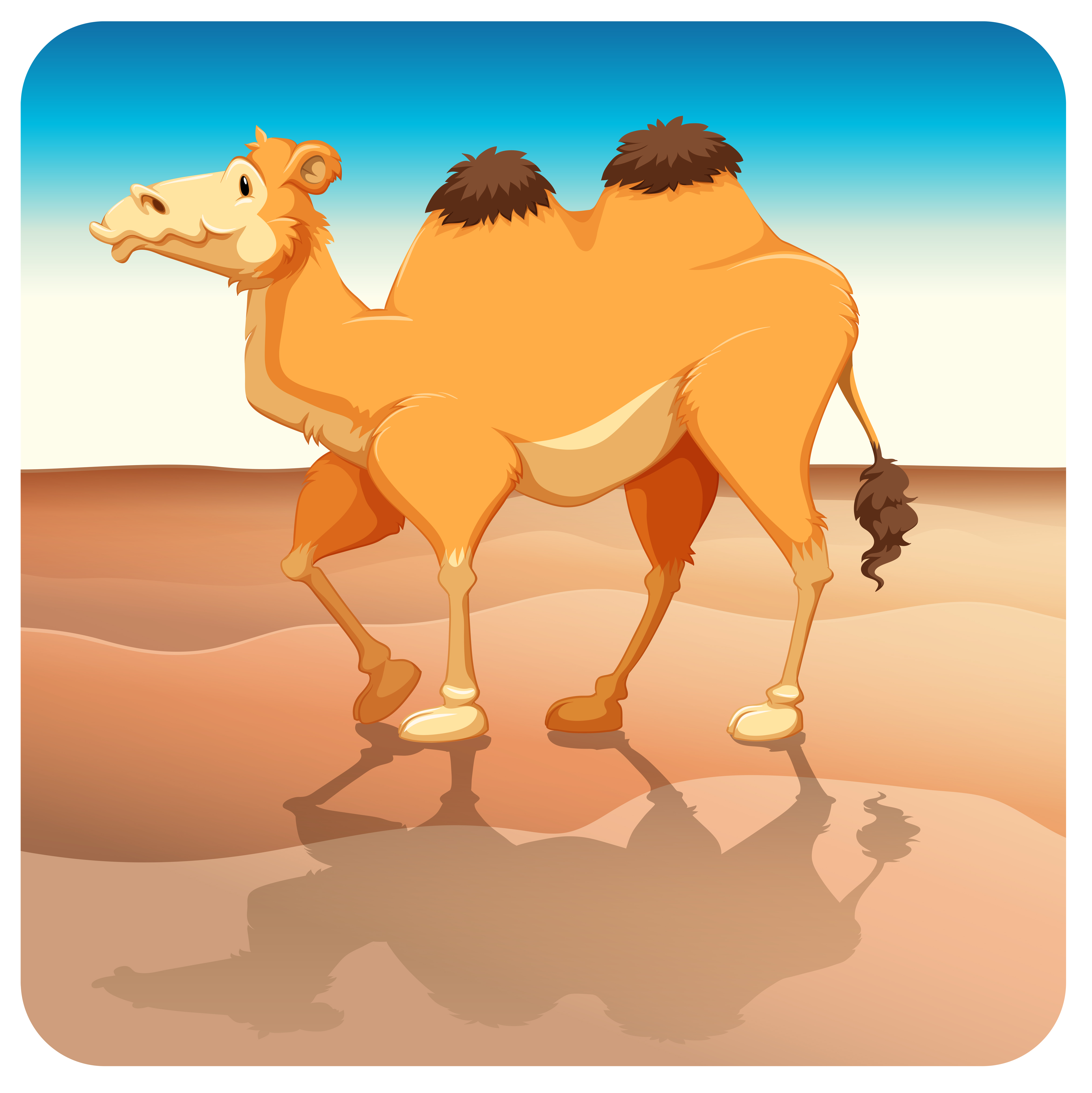 Верблюды в пустыне вектор
