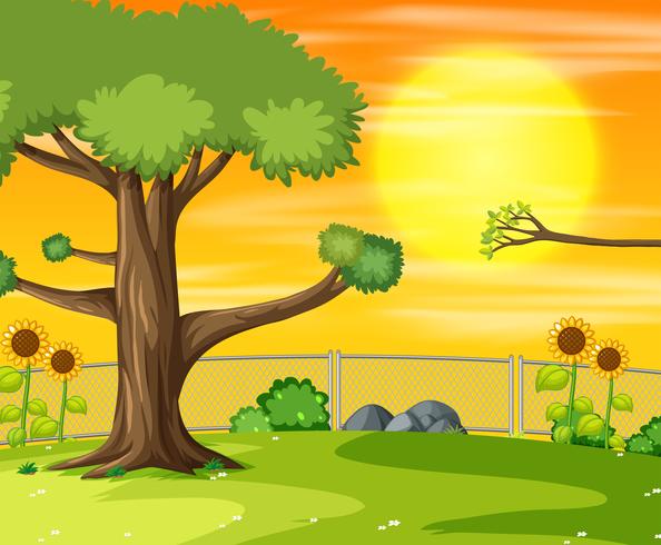 Sunset in park scene vector