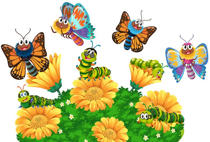 Caterpillars and butterflies in the garden vector